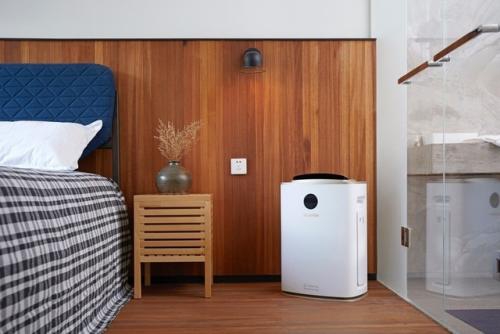 聲音:當砍樹的遇上植樹節(jié)