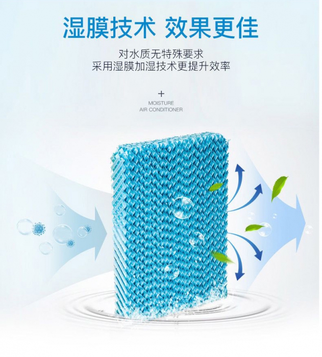 秋季祛濕吃什么好？