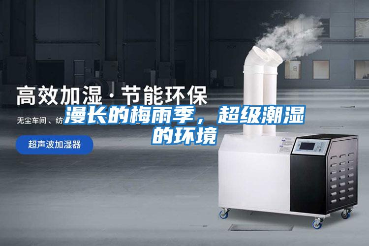 漫長的梅雨季，超級潮濕的環境