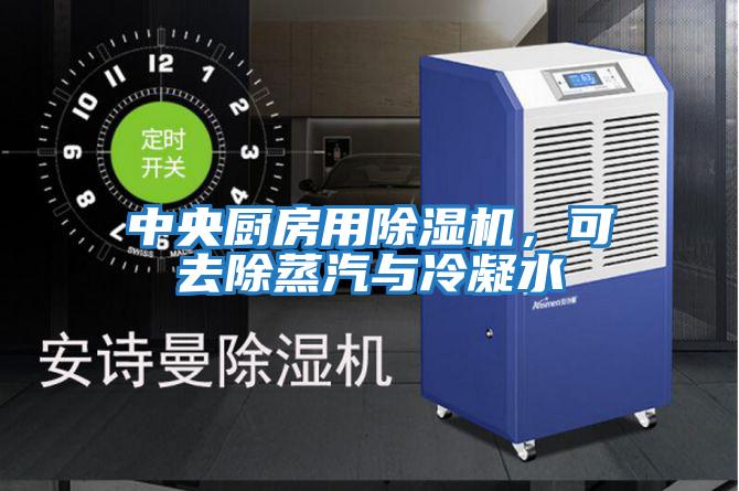 中央廚房用除濕機(jī)，可去除蒸汽與冷凝水
