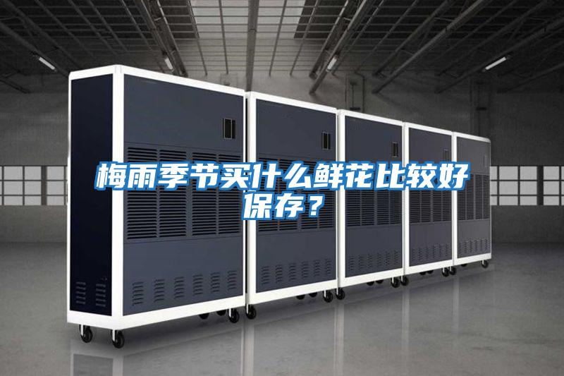 梅雨季節買什么鮮花比較好保存?