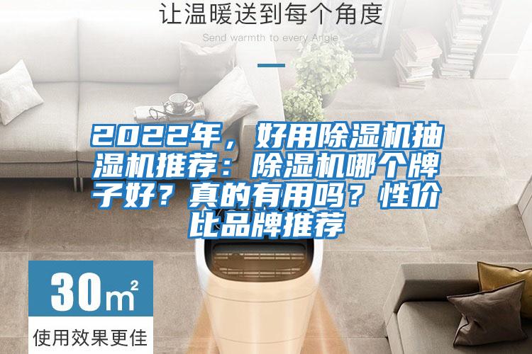 2022年,好用除濕機抽濕機推薦:除濕機哪個牌子好?真的有用嗎?性價比品牌推薦