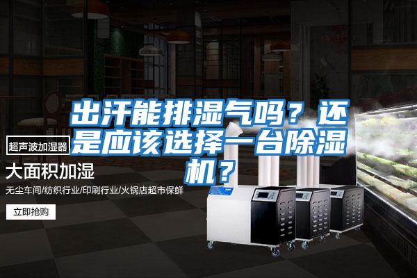 出汗能排濕氣嗎？還是應(yīng)該選擇一臺(tái)除濕機(jī)？