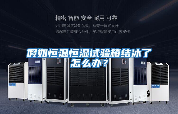 假如恒溫恒濕試驗(yàn)箱結(jié)冰了怎么辦?