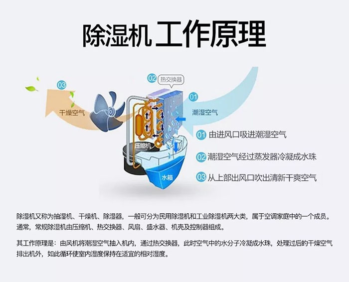 中藥材怎么烘干不變色？中藥材烘干用除濕機