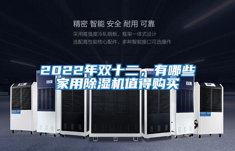 2022年雙十二,有哪些家用除濕機值得購買