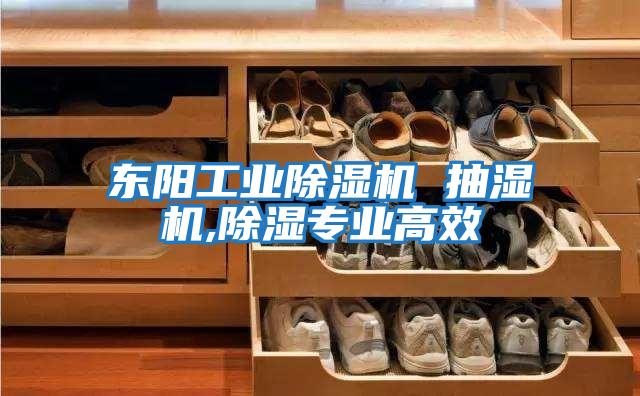 東陽工業除濕機 抽濕機,除濕專業高效