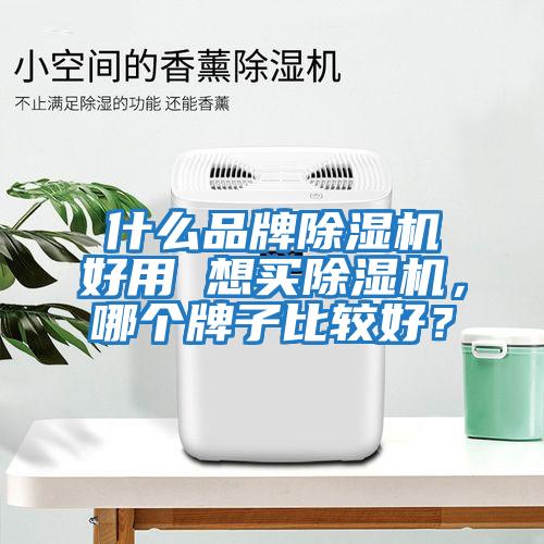 什么品牌除濕機(jī)好用 想買除濕機(jī),哪個(gè)牌子比較好?