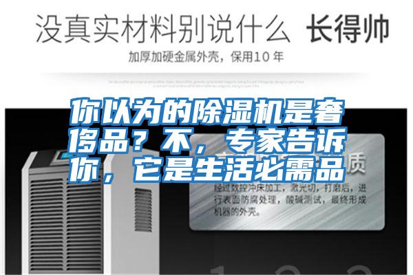 你以為的除濕機是奢侈品？不，專家告訴你，它是生活必需品