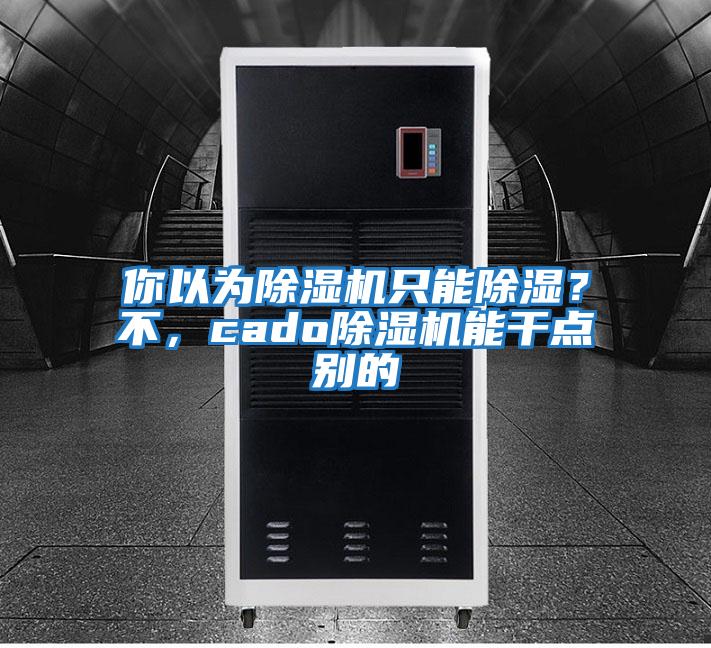 你以為除濕機(jī)只能除濕？不，cado除濕機(jī)能干點(diǎn)別的