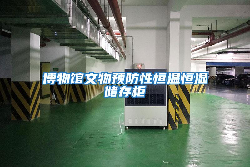博物館文物預防性恒溫恒濕儲存柜