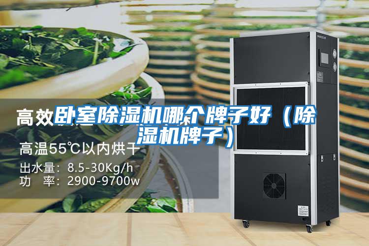 臥室除濕機(jī)哪個牌子好（除濕機(jī)牌子）
