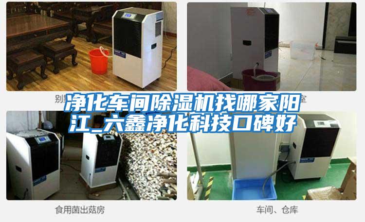 凈化車(chē)間除濕機(jī)找哪家陽(yáng)江_六鑫凈化科技口碑好