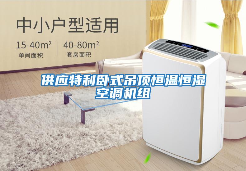 供應特利臥式吊頂恒溫恒濕空調機組