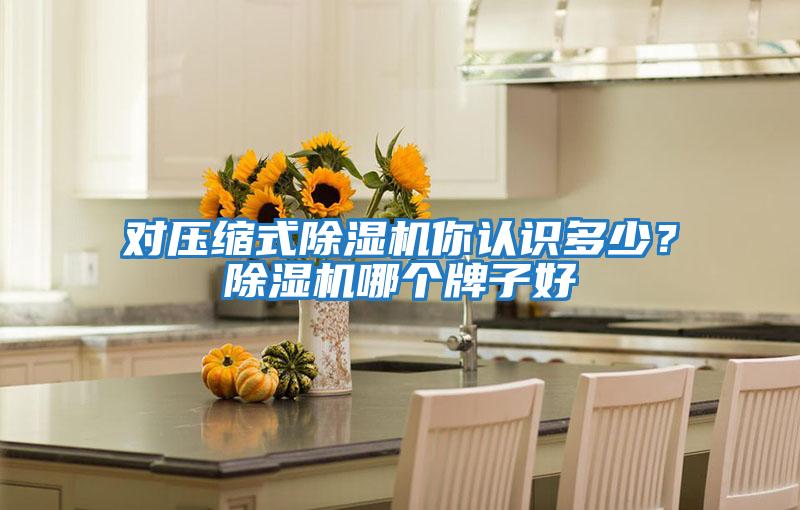 對壓縮式除濕機(jī)你認(rèn)識多少？除濕機(jī)哪個牌子好