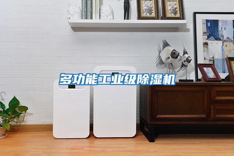 多功能工業(yè)級除濕機(jī)