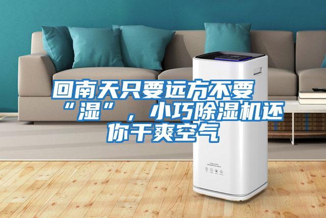 回南天只要遠(yuǎn)方不要“濕”,小巧除濕機還你干爽空氣