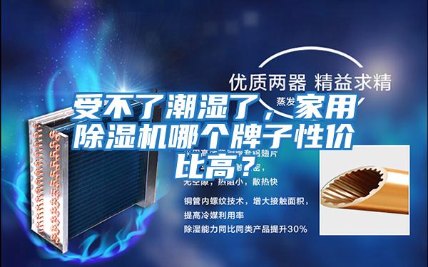 受不了潮濕了，家用除濕機(jī)哪個牌子性價比高？