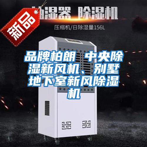 品牌柏朗 中央除濕新風(fēng)機(jī)、別墅地下室新風(fēng)除濕機(jī)