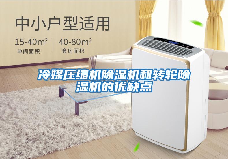 冷媒壓縮機除濕機和轉(zhuǎn)輪除濕機的優(yōu)缺點