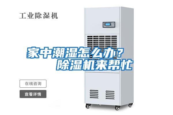 家中潮濕怎么辦? 除濕機來幫忙