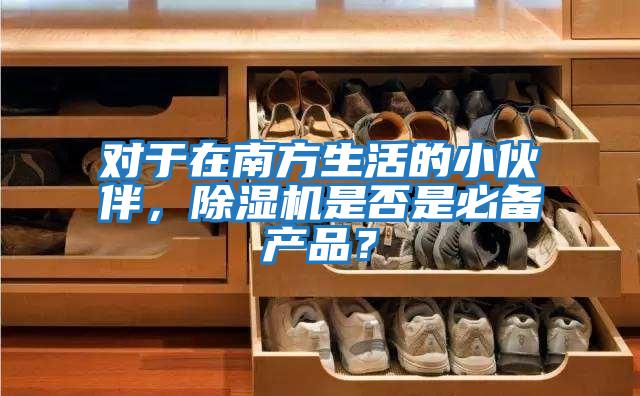 對于在南方生活的小伙伴，除濕機是否是必備產品？