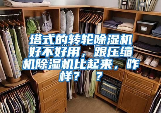 塔式的轉(zhuǎn)輪除濕機(jī)好不好用，跟壓縮機(jī)除濕機(jī)比起來(lái)，咋樣？ ？