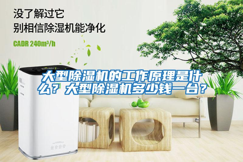 大型除濕機的工作原理是什么？大型除濕機多少錢一臺？