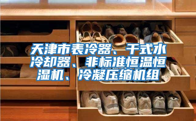 天津市表冷器、干式水冷卻器、非標準恒溫恒濕機、冷凝壓縮機組