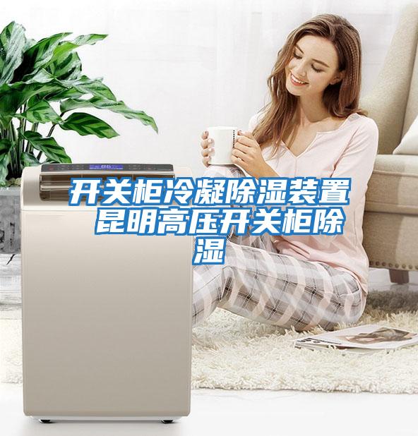 開關柜冷凝除濕裝置 昆明高壓開關柜除濕
