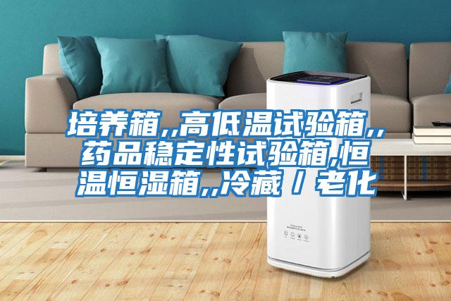培養箱,,高低溫試驗箱,,藥品穩定性試驗箱,恒溫恒濕箱,,冷藏/老化