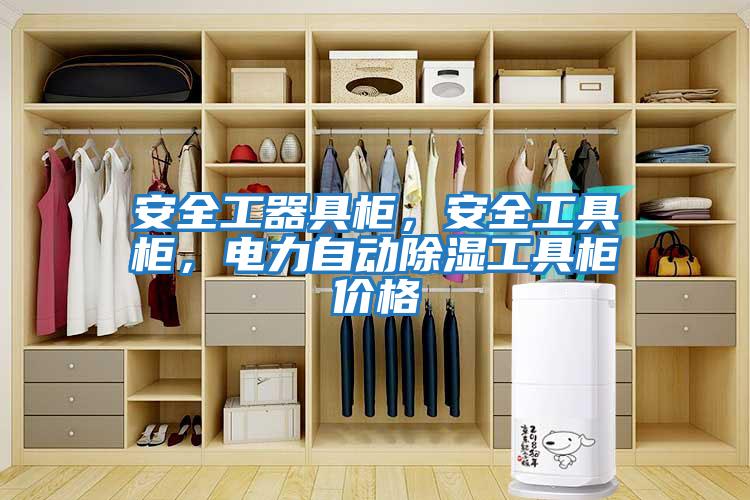 安全工器具柜，安全工具柜，電力自動除濕工具柜價格
