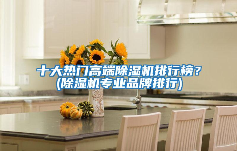 十大熱門(mén)高端除濕機(jī)排行榜？(除濕機(jī)專(zhuān)業(yè)品牌排行)