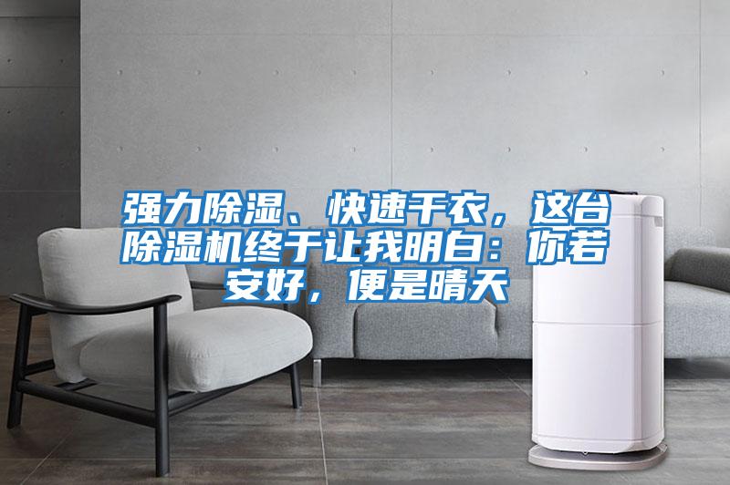 強(qiáng)力除濕、快速干衣，這臺除濕機(jī)終于讓我明白：你若安好，便是晴天
