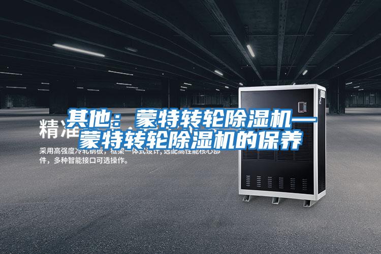 其他:蒙特轉輪除濕機—蒙特轉輪除濕機的保養