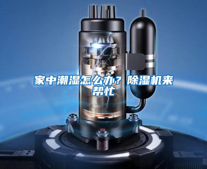 家中潮濕怎么辦?除濕機來幫忙