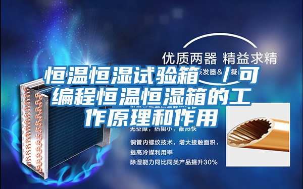 恒溫恒濕試驗箱 /可編程恒溫恒濕箱的工作原理和作用