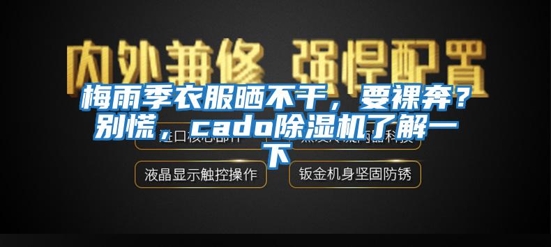 梅雨季衣服曬不干,要裸奔?別慌,cado除濕機了解一下