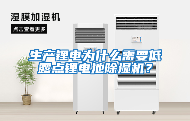 生產鋰電為什么需要低露點鋰電池除濕機？