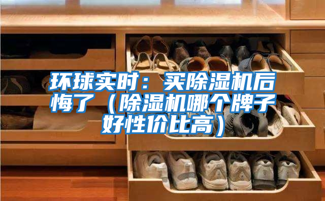 環(huán)球?qū)崟r：買除濕機(jī)后悔了（除濕機(jī)哪個牌子好性價(jià)比高）