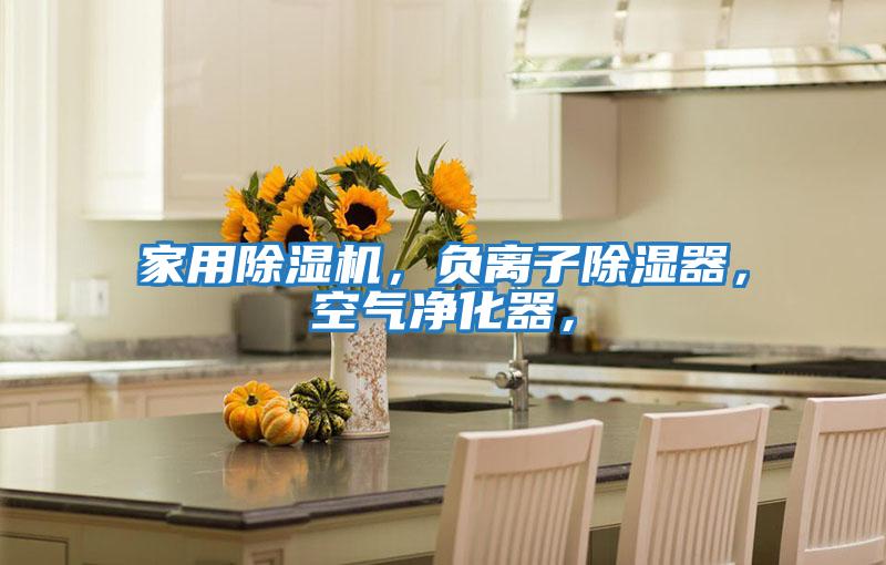 家用除濕機，負離子除濕器，空氣凈化器，