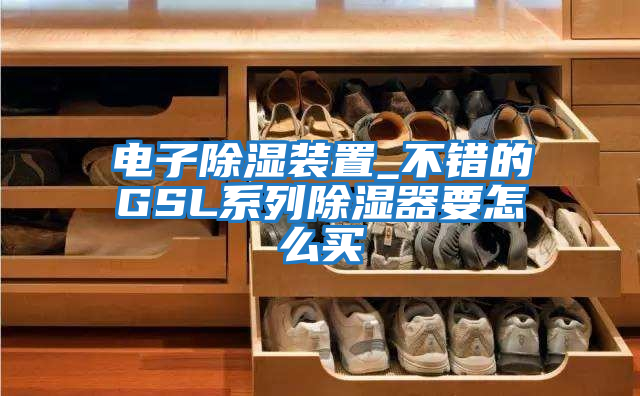 電子除濕裝置_不錯(cuò)的GSL系列除濕器要怎么買(mǎi)
