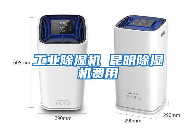 工業除濕機 昆明除濕機費用