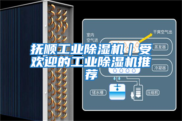 撫順工業除濕機|受歡迎的工業除濕機推薦