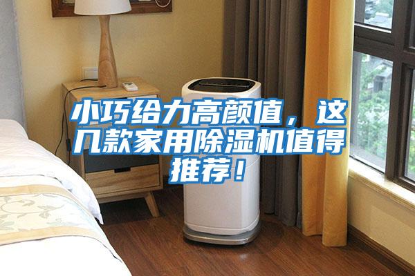 小巧給力高顏值，這幾款家用除濕機值得推薦！