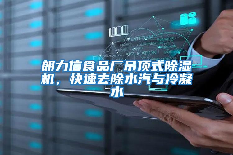 朗力信食品廠吊頂式除濕機，快速去除水汽與冷凝水