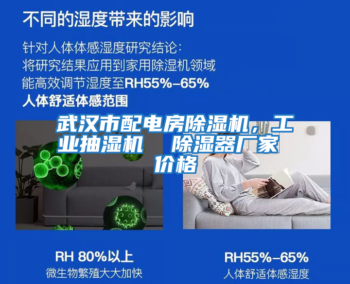 武漢市配電房除濕機(jī)，工業(yè)抽濕機(jī)  除濕器廠家 價(jià)格