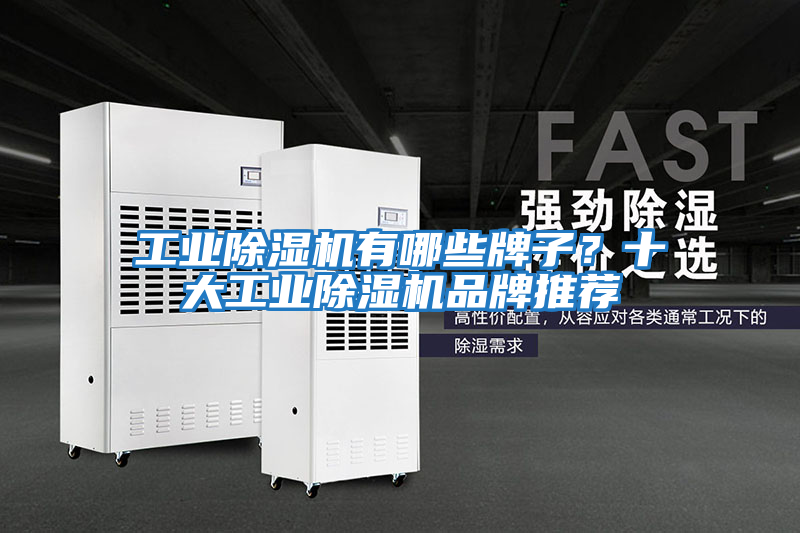 工業(yè)除濕機(jī)有哪些牌子？十大工業(yè)除濕機(jī)品牌推薦