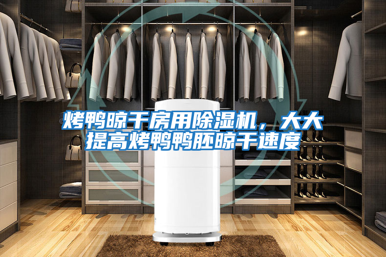 烤鴨晾干房用除濕機,大大提高烤鴨鴨胚晾干速度