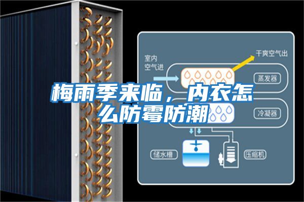 梅雨季來臨，內(nèi)衣怎么防霉防潮